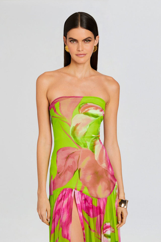 Nicole Silk Chiffon Dress