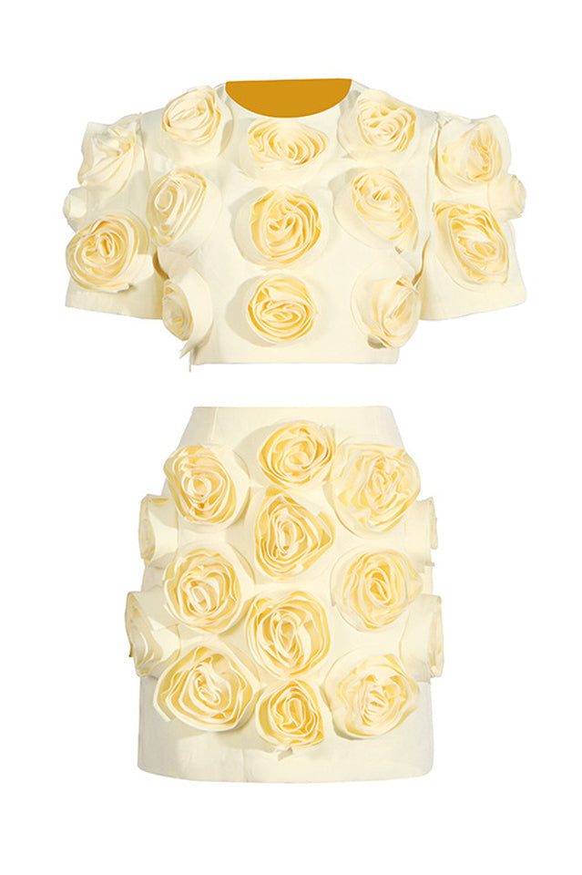 Rose Applique Cropped Top + Skirt Set