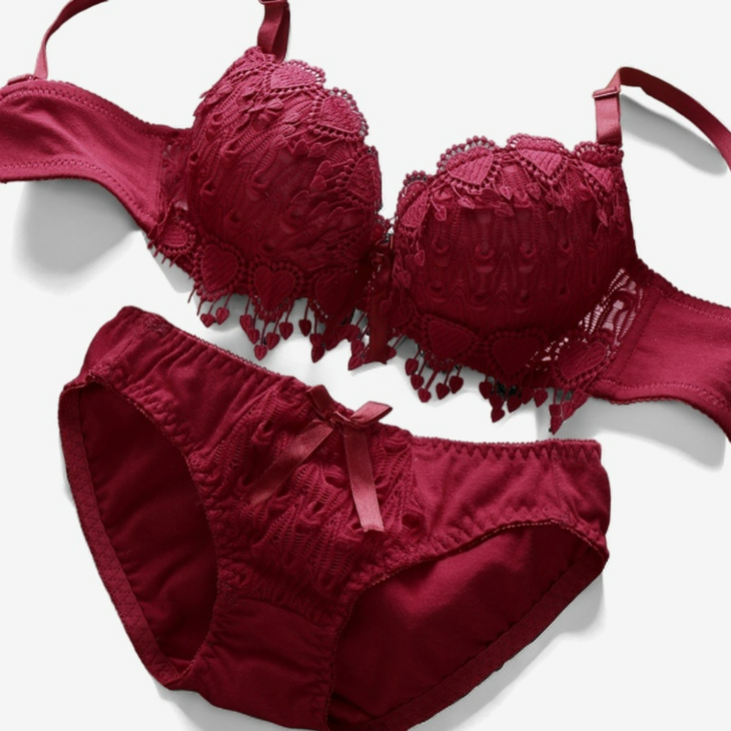 Sweetheart Lace Embroidery Lingerie Set - StylinArts