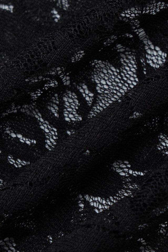 See Through Lace Mini Dress