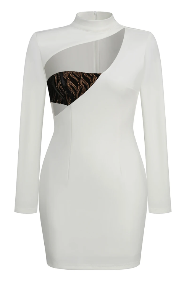 Rora Lace Cutout Mini Dress