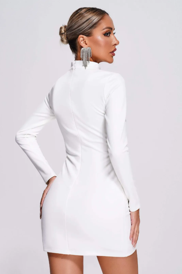 Rora Lace Cutout Mini Dress