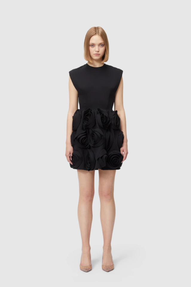Rose Applique Mini Dress