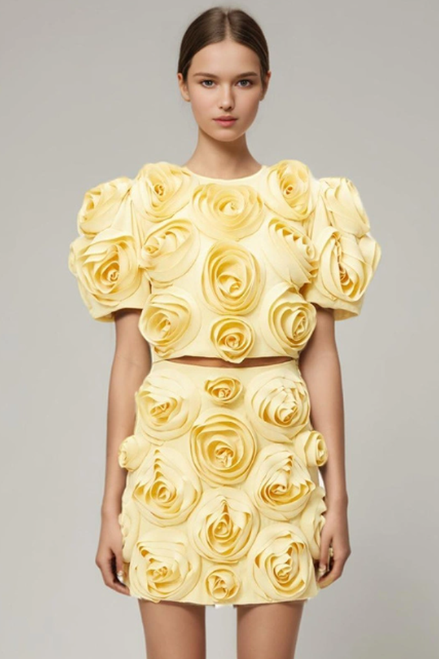 Rose Applique Cropped Top + Skirt Set