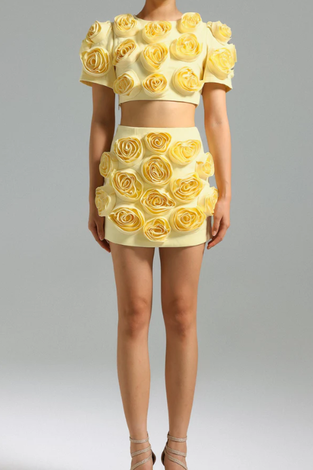 Rose Applique Cropped Top + Skirt Set