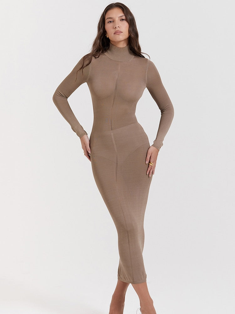 Turtleneck Backless Bodycon Midi Dress