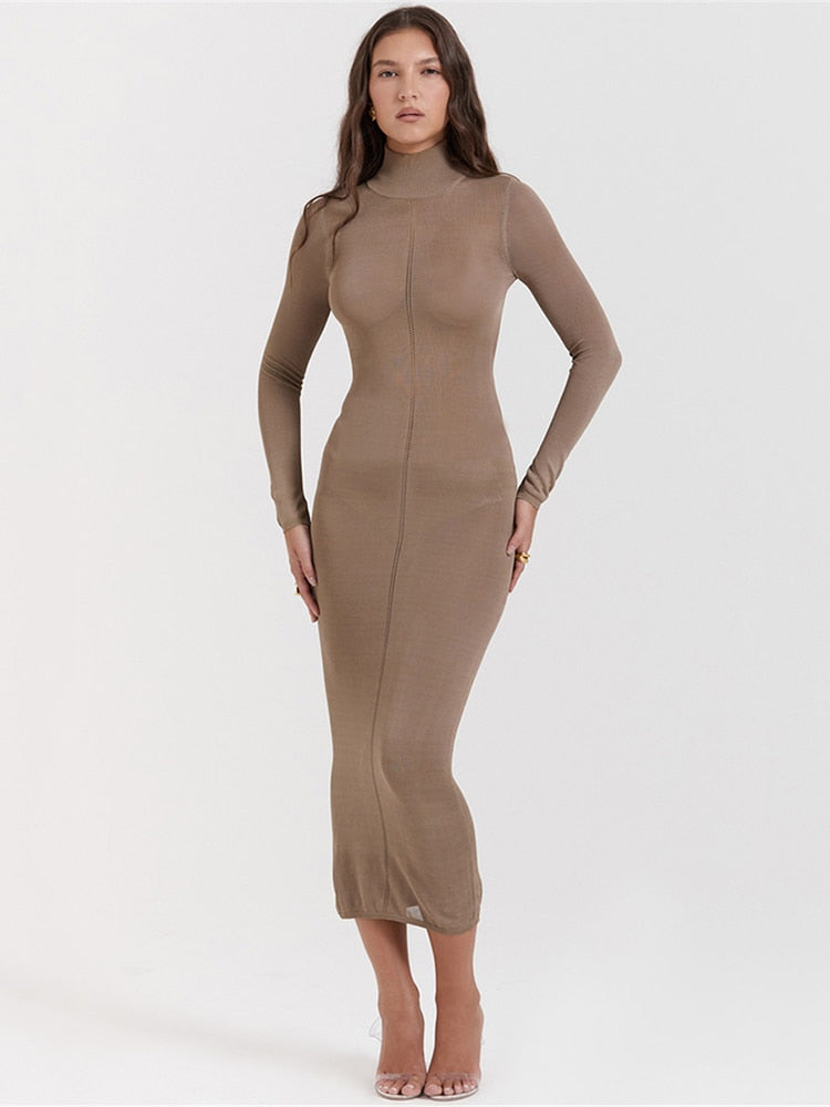 Turtleneck Backless Bodycon Midi Dress