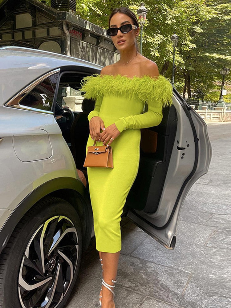 Slash Neck Off Shoulder Feather Long Sleeve Bodycon Autumn Dress