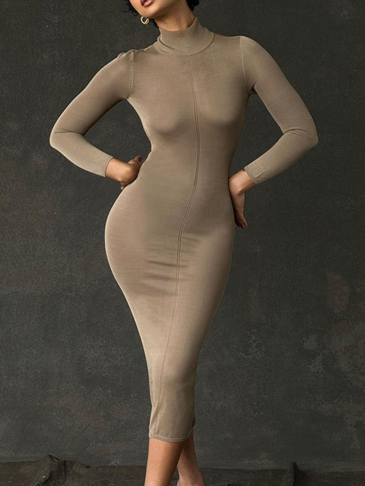 Turtleneck Backless Bodycon Midi Dress