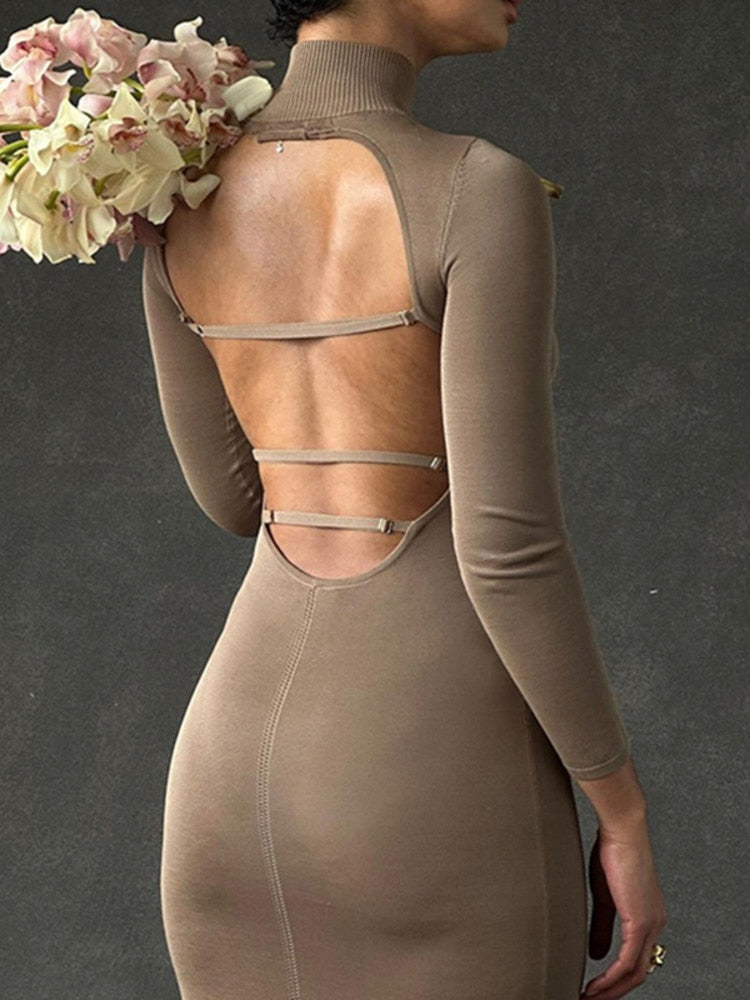Turtleneck Backless Bodycon Midi Dress