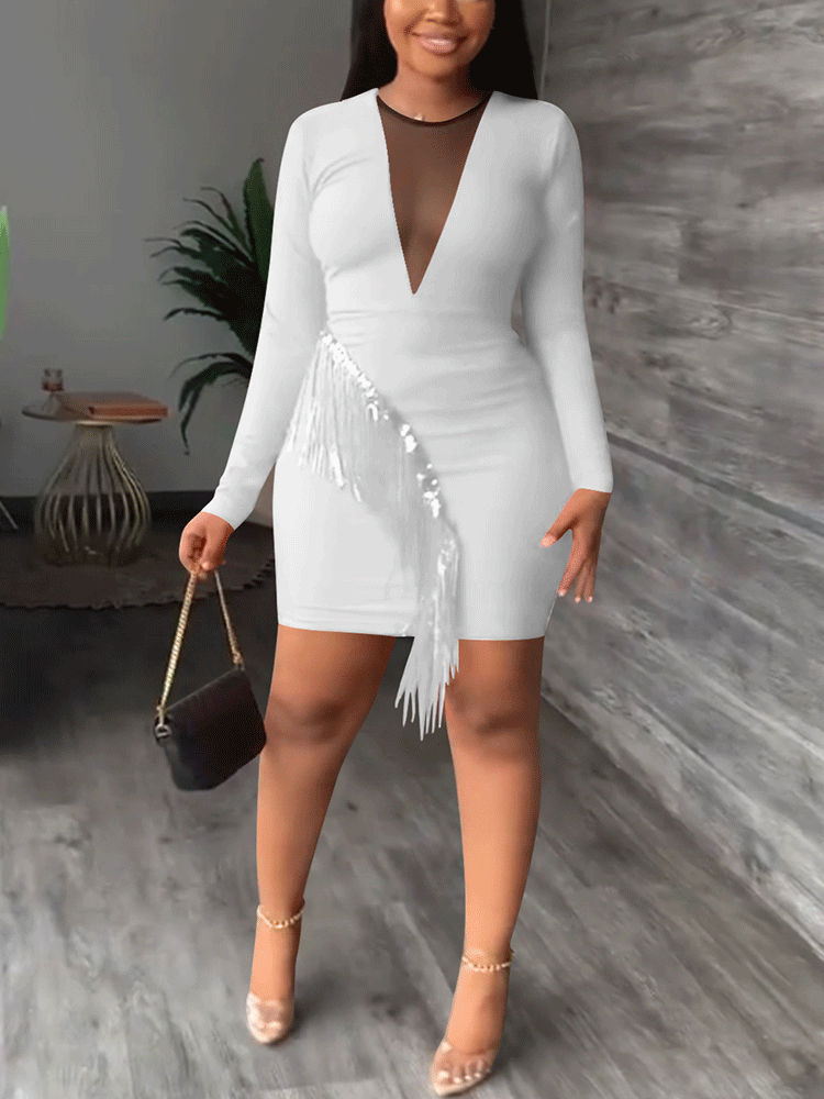 Tassel Long Sleeve Mini Dress