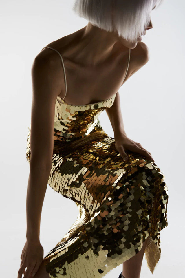 Phoenix Sequin Slip Dress