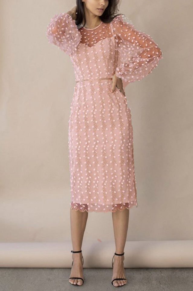 Embroidered Sheer Fitted Dress