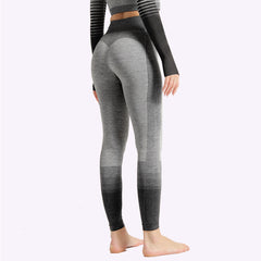 LuminaFlex Seamless High-Waist Yoga Pant