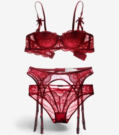 Sensual Lace Embroidered Lingerie Ensemble - StylinArts
