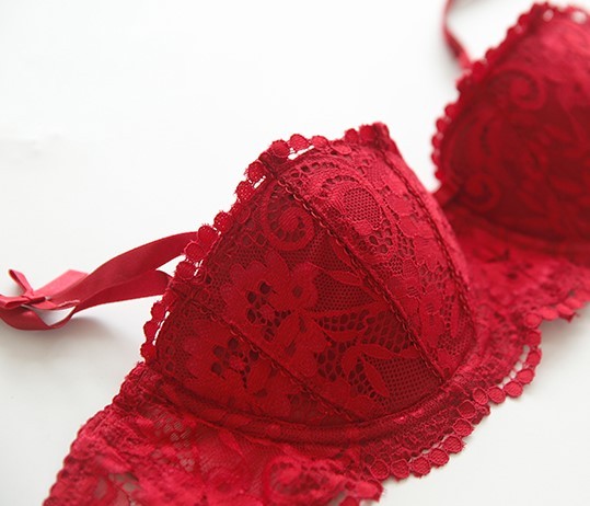 Sensual Lace Embroidered Lingerie Ensemble - StylinArts