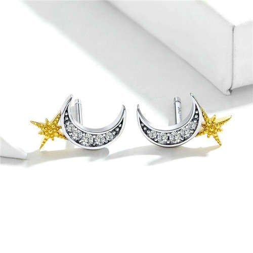 Celestial Companions Earrings (925 Sterling Silver)