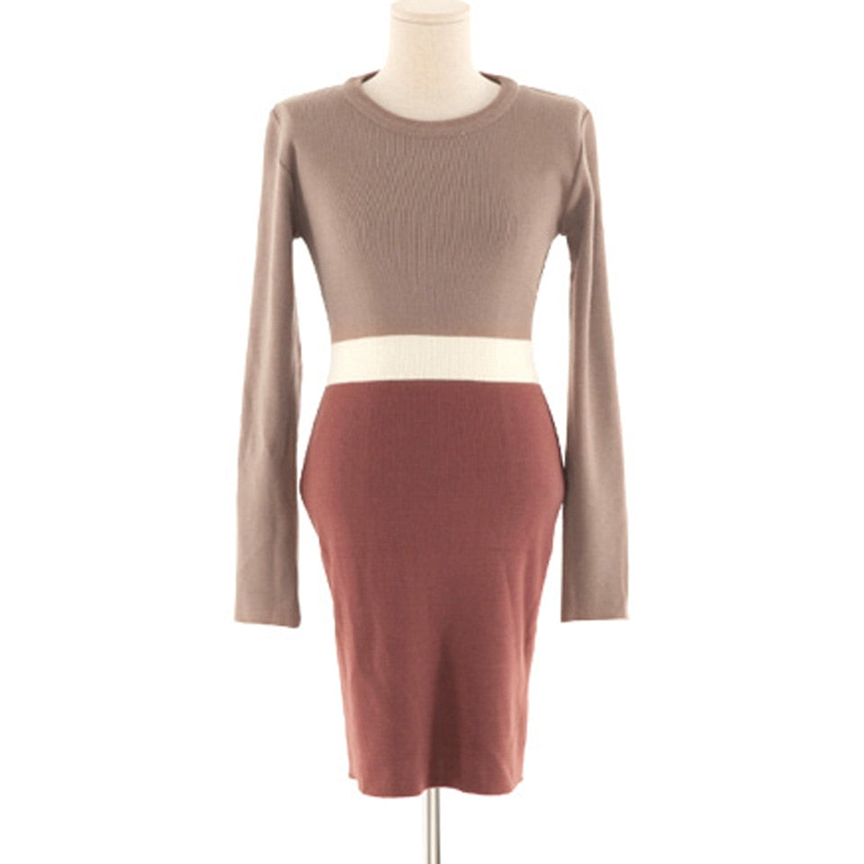 Simple Elegant Office Lady Dress Spring Autumn Warm Tight Dress