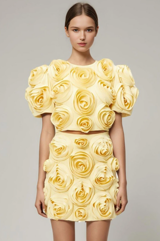 Rose Applique Cropped Top + Skirt Set