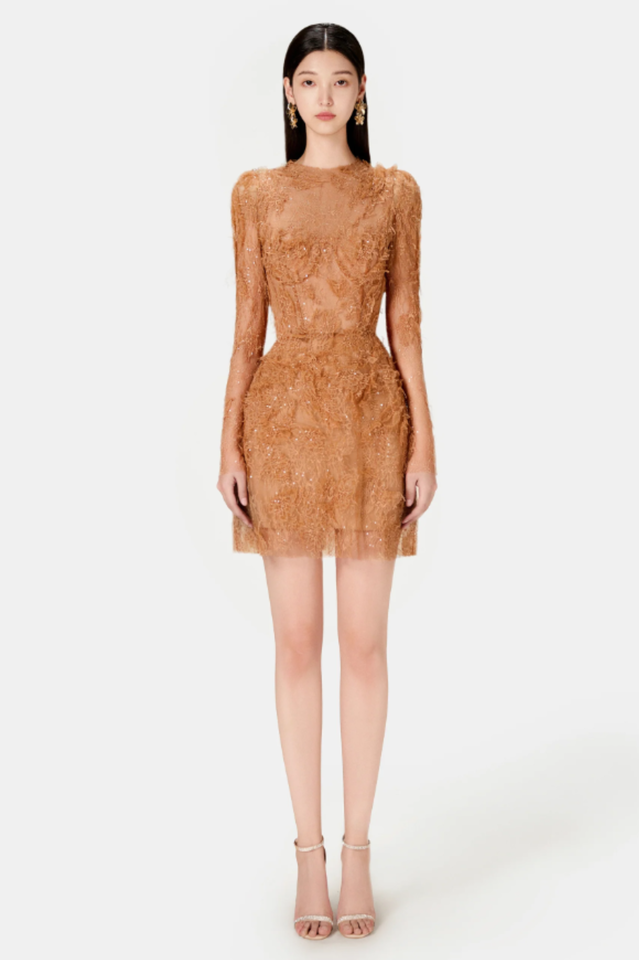 Honey Beaded Lace Mini Dress