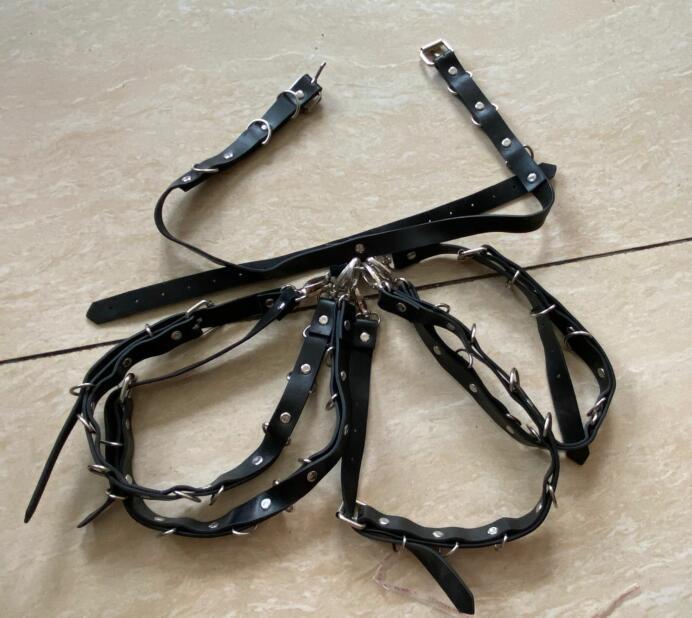 Vixen Leather Bondage Set