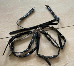 Vixen Leather Bondage Set