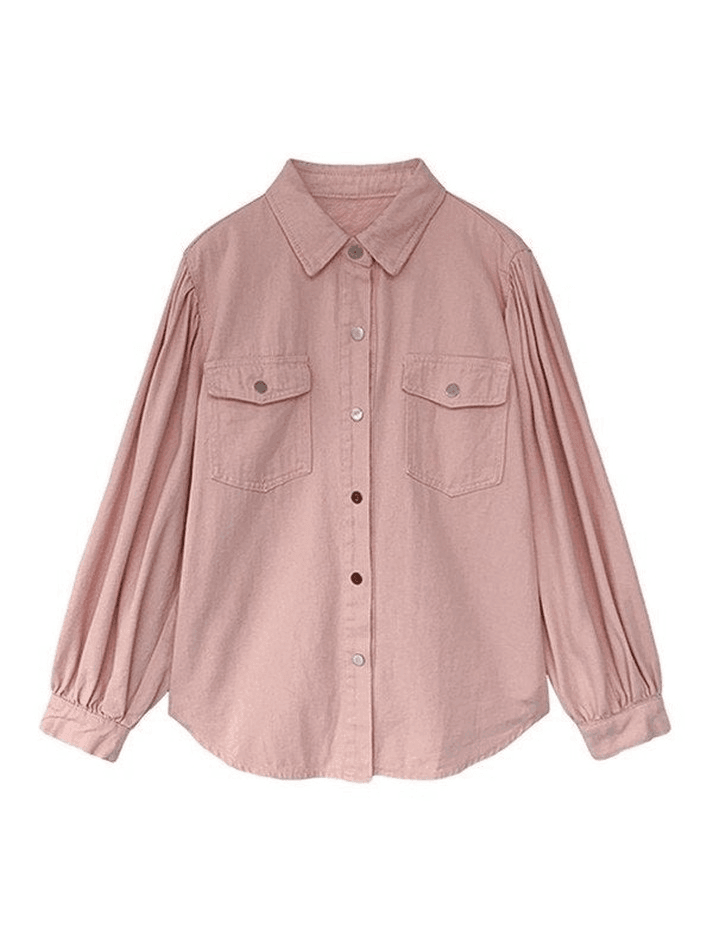 Pleated Long Sleeve Blouse