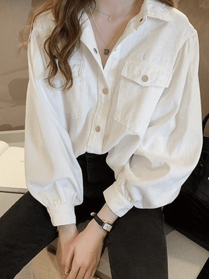Pleated Long Sleeve Blouse