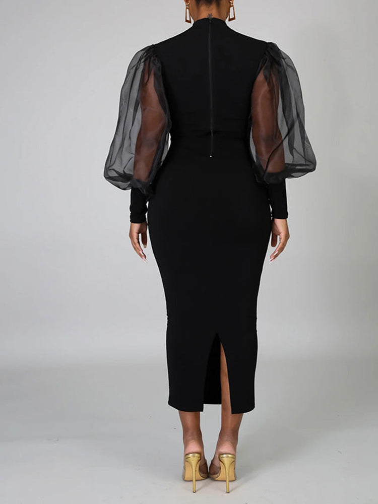 Mesh Long Sleeve Dress